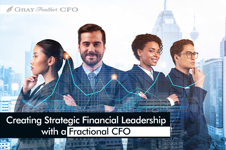Creating Strategic Financial Leadership with a Fractional CFO service